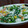 Shosui3's cooksnap of when they made 春菊の洋風白和え.