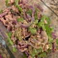 ふぃーび's cooksnap of when they made ゴーヤとレッドオニオンの胡麻和えサラダ.