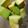 クックACOL48☆'s cooksnap of when they made ♪簡単おつまみ♪アボカドの和えもの.