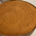 tomatamago's cooksnap of when they made かんたんスポンジケーキ15cm　覚書.