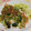 クック0UQ98I☆'s cooksnap of when they made しっとり柔らか！簡単よだれ鶏.