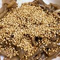 chulita5's cooksnap of when they made ＊豚ごぼう丼＊.
