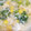 さとるちっち's cooksnap of when they made とろ〜り中華風マカロニスープ.