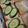 カクヨ's cooksnap of when they made トーストハムサンド.