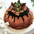 ♪cooking♪'s cooksnap of when they made バレンタインに☆ドームチョコレートケーキ.