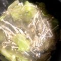 tetomomo's cooksnap of when they made ★簡単春雨スープ★.