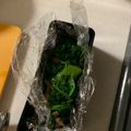 kanana1211's cooksnap of when they made かつお菜の炒め煮.