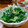 yukitarooo's cooksnap of when they made 春菊のおひたし☆大根おろし和え☆.