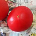 あたりめっこ's cooksnap of when they made 色の悪いトマトを真っ赤なトマトにする方法.
