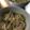 ぱりえってぃ's cooksnap of when they made 【男のジャンク飯】ツナ塩昆布スパサラ.