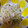 ♬タ〜リラリラ〜♬'s cooksnap of when they made 簡単☆白菜とモヤシのツナ和え.