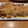 gorillaimo's cooksnap of when they made 鶏もも焼き～塩糀みぞれダレ～.
