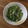 クック1FX93J☆'s cooksnap of when they made 簡単すぎる 豆苗とツナのマヨ炒め.