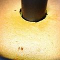 めっ子ちゃん's cooksnap of when they made 高齢者向けふわっふわ♡抹茶カステラ.