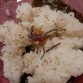 カクヨ's cooksnap of when they made 自然解凍でも美味しい★ごま油おにぎり.