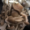 ma___111's cooksnap of when they made 簡単！エリンギとしめじの麺つゆ煮.