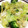 クック8WGPUO☆'s cooksnap of when they made レタスのオイスターソース炒め.