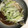 ※くりむと※'s cooksnap of when they made 本格派！ニジマスの中華蒸し.