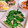MIHO＊Akmt's cooksnap of when they made 菜の花とエリンギのにんにく炒め.