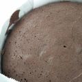 ラムたろう's cooksnap of when they made 濃厚で簡単ガトーショコラ バレンタイン.
