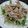 miibr's cooksnap of when they made 新玉ねぎと豚しゃぶの柚子ぽんサラダ☆.