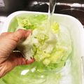 ともそうた's cooksnap of when they made 楽ワザ◎レタスの葉をはがす方法.