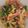 クックR1ZBVJ☆'s cooksnap of when they made 菜の花とスパムの卵炒め.