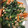 Honoria's cooksnap of when they made ツナとほうれん草と人参と大豆のサラダ.