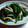 のえもゆ's cooksnap of when they made 簡単！ちぢみほうれん草のバター炒め.