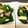 ☆ろんさん☆'s cooksnap of when they made ほうれん草と舞茸と干しエビで炒めもの.