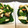 ☆ろんさん☆'s cooksnap of when they made ほうれん草と舞茸と干しエビで炒めもの.