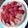 【saito】's cooksnap of when they made いちごタルト.