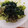 eiyoushi's cooksnap of when they made 無添加(^^)簡単手作り和風ドレッシング.