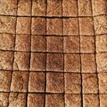 nokonoki's cooksnap of when they made 美容栄養士100%おからポリポリクッキー.