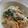 クックRS1030☆'s cooksnap of when they made 生クリーム不使用！クリームパスタ風パスタ.