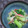 みがつくひと's cooksnap of when they made ✤青梗菜とかにかまの中華風しょうが炒め✤.
