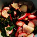 クック4LESWQ☆'s cooksnap of when they made ラディッシュ（カブ）の甘酢漬け.