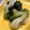 おはあおとうこ's cooksnap of when they made キーンと冷やして♪レタスのおひたし.
