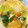 まーこ◡̈'s cooksnap of when they made にらたまとろみスープ.