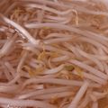カクヨ's cooksnap of when they made 50度洗いでずっとシャキシャキもやし！.