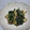 ジョングレ's cooksnap of when they made ほうれん草と舞茸の炒めもの.
