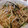 さくら雪山's cooksnap of when they made ちりめん＆かつおフレークの和風パスタ.