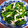 かな茶's cooksnap of when they made ほうれん草とブナピーのおひたし.