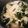 じう630's cooksnap of when they made おでん汁うどん.