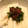 ケンコウママ's cooksnap of when they made こんがり長芋(山芋)の梅シソ乗せ♡.