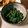 クックG13553☆'s cooksnap of when they made ヨウサマの減塩洋風ほうれん草のゴマ合え.