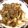 元's cooksnap of when they made 新玉ねぎと牛肉の胡麻ポン酢炒め.