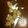 finantial's cooksnap of when they made プロテイン入りクッキー.