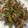 クックPW9C2T☆'s cooksnap of when they made コクうま！野菜炒め.