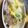 やーしー's cooksnap of when they made 白菜たっぷり！鶏モモで無水鍋.